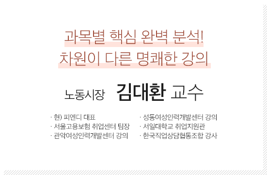 노동시장 김대환 교수